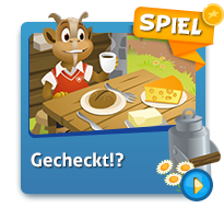 Vokabelspiel